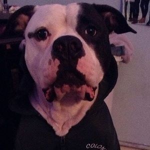 Meet your Posher, Austin